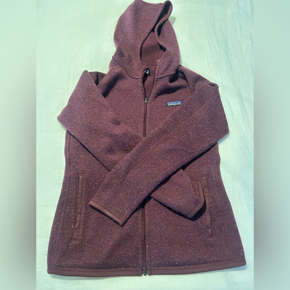 Patagonia Burgundy Zip Hoodie